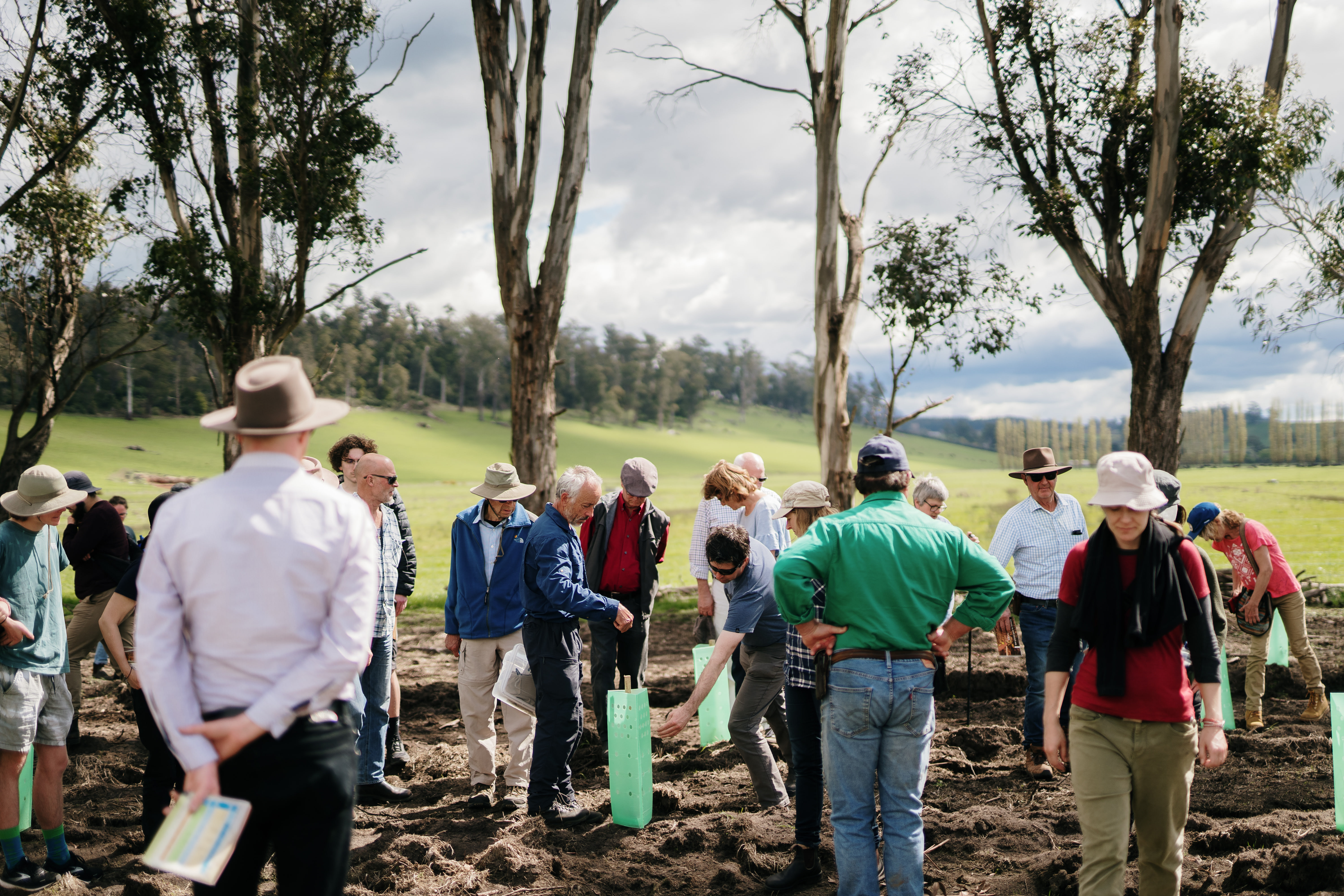 Landcare Action Grants - update
