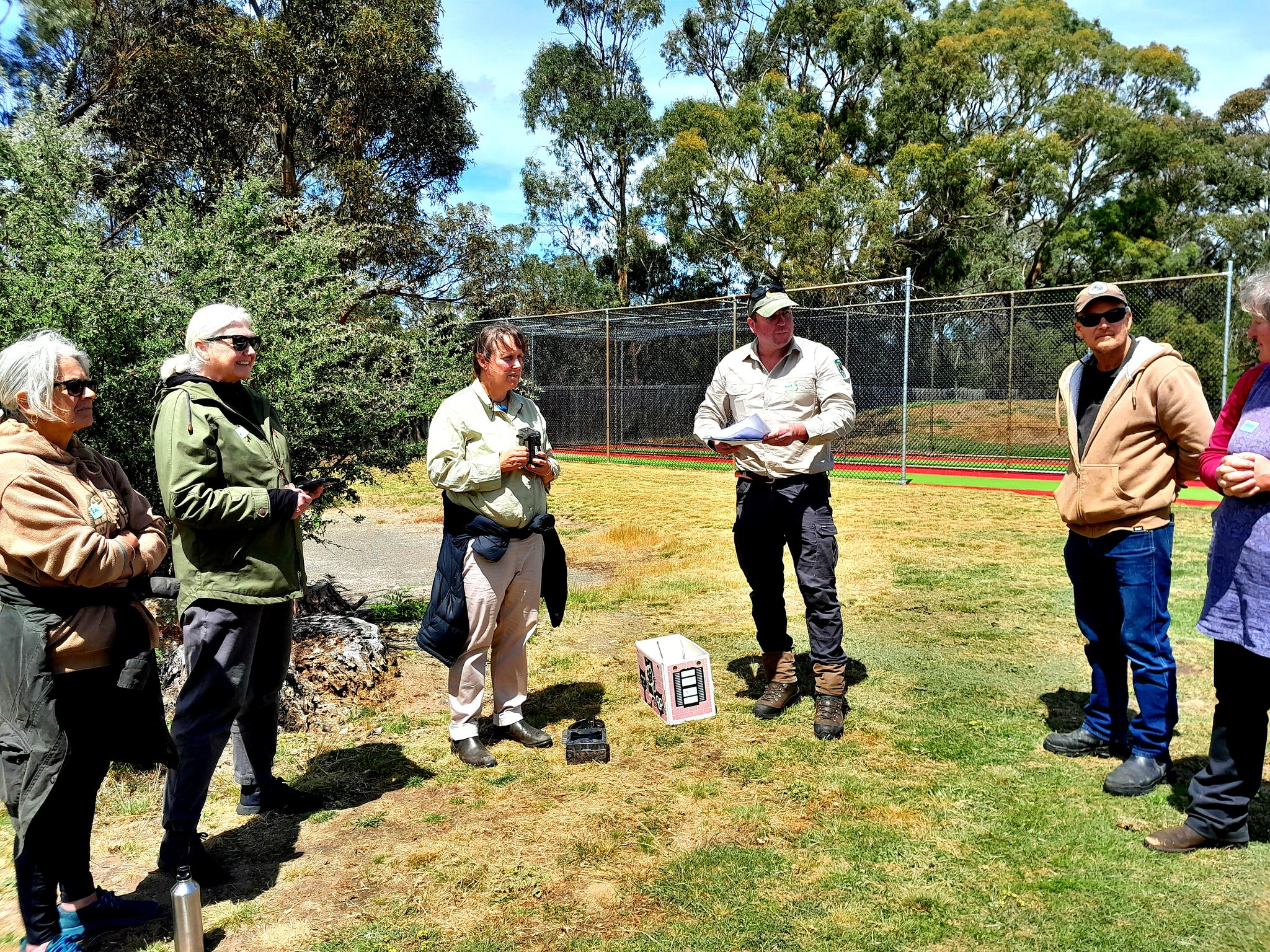 Feral cats on the South Arm Peninsula 