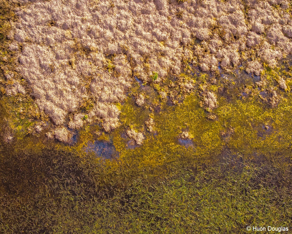 Grant applications now open - Landcare Action Grants 2026