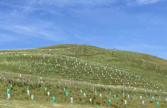 Landcare Action Grants open round 5 update