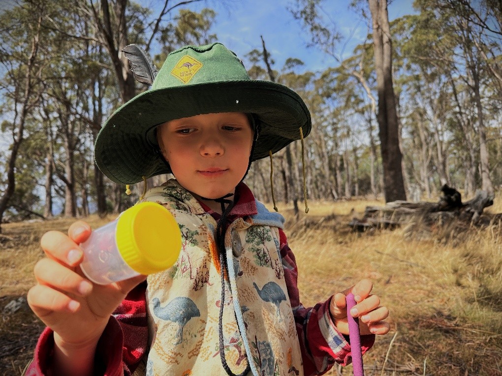 Bug hunting, stories and art