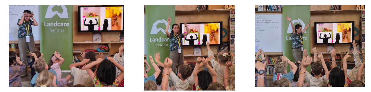 Native Bee Guardians at The Cottage School 