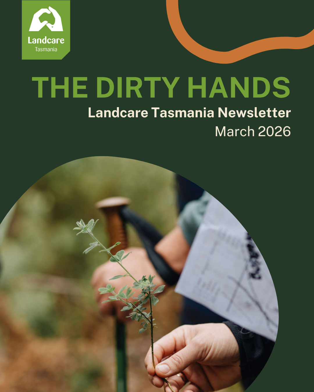 The Dirty Hands newsletter March 2026
