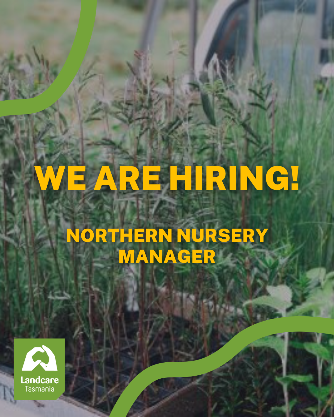 Help lead our new Northern Nursery in Launceston