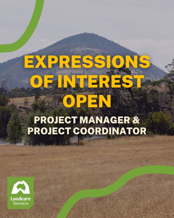 Expressions of interest - project manager & project coordinator