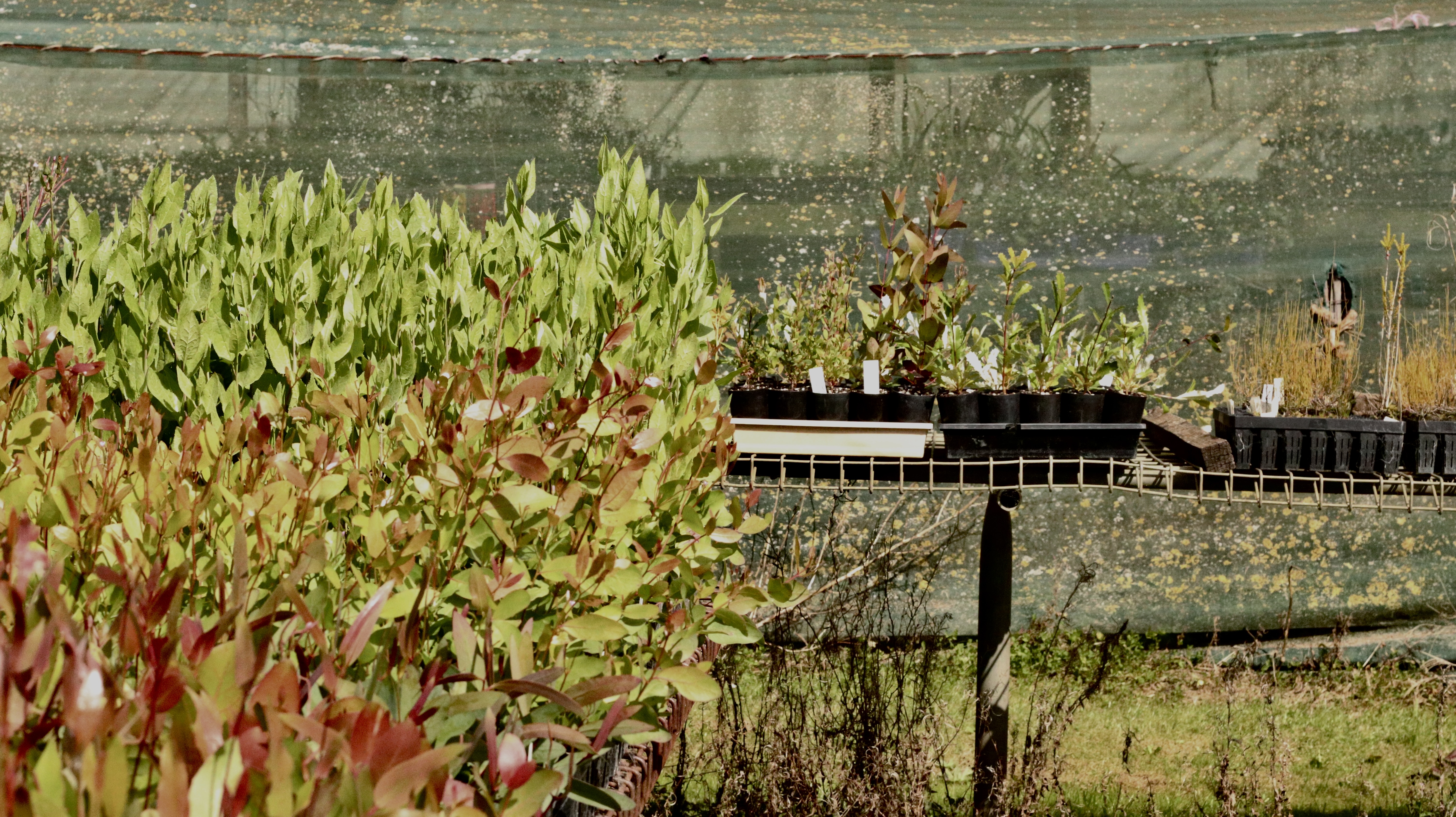 Small grants available for 2027 planting season 