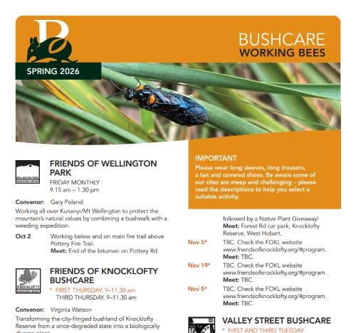 Bushcare working bee program Spring 2026 
