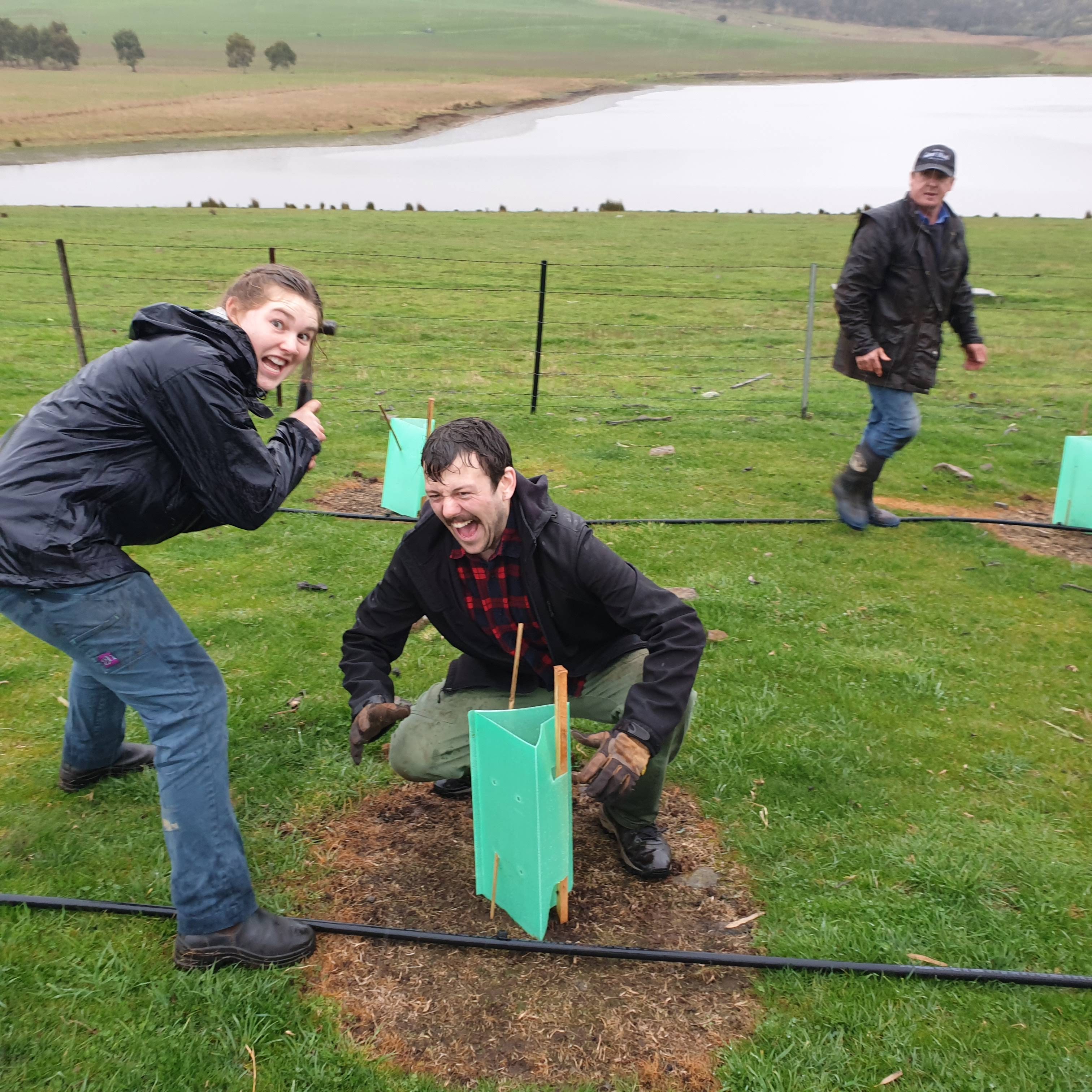 Ode to Trees Landcare Tasmania