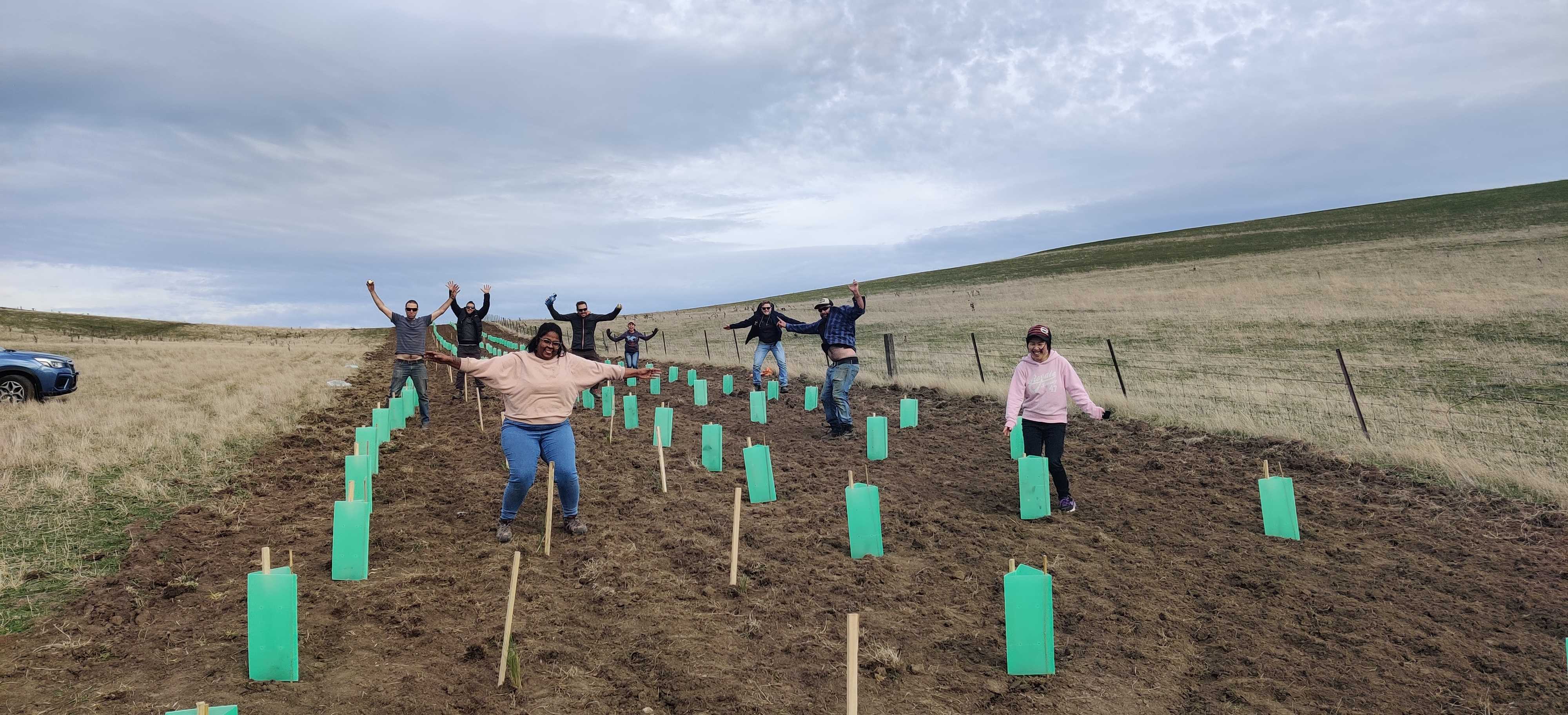 Planting Day Colebrook Landcare Tasmania Landcare Tasmania