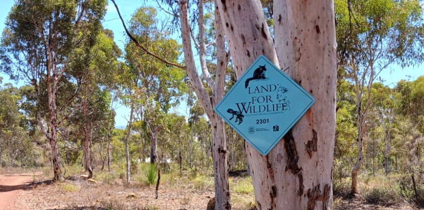 Private Conservation Options