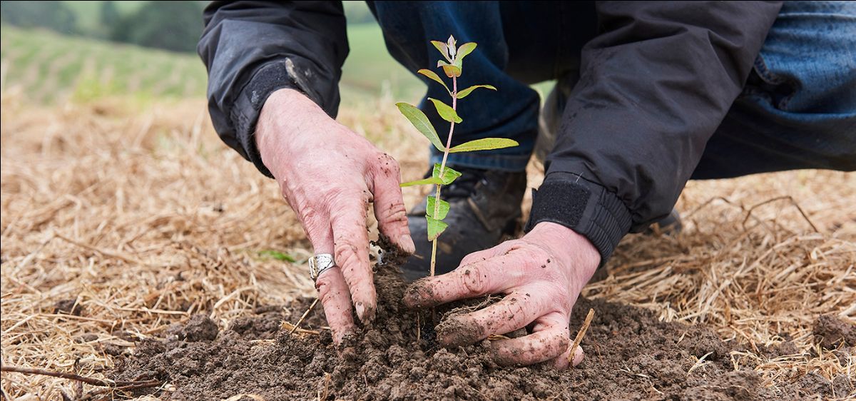 Insurance Tailored for Landcare 