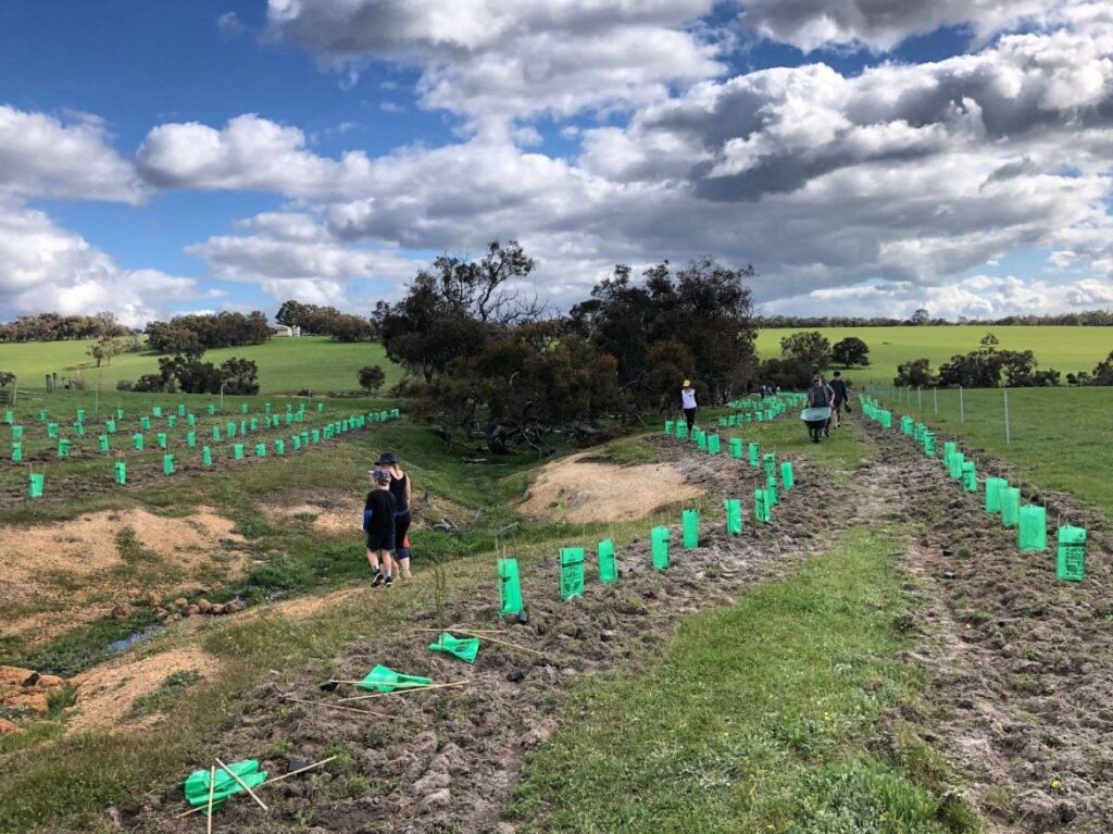 Revegetation on Farms