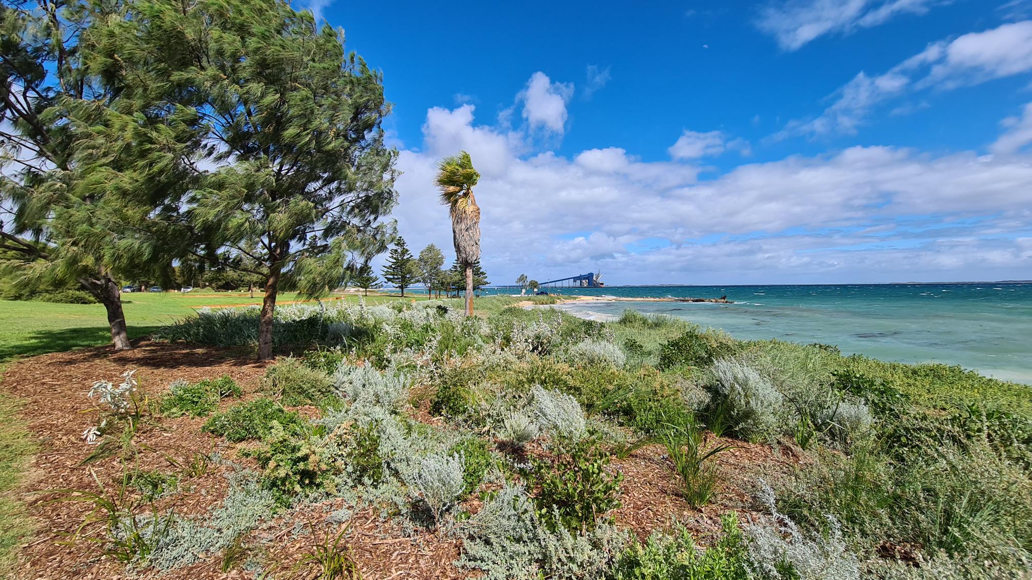 Coastal Restoration - What's working and what's not?