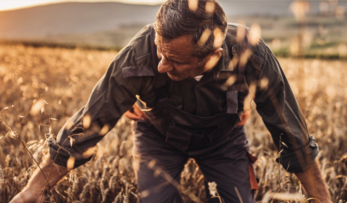 The Future Drought Fund- Unpacked for Community Landcare 