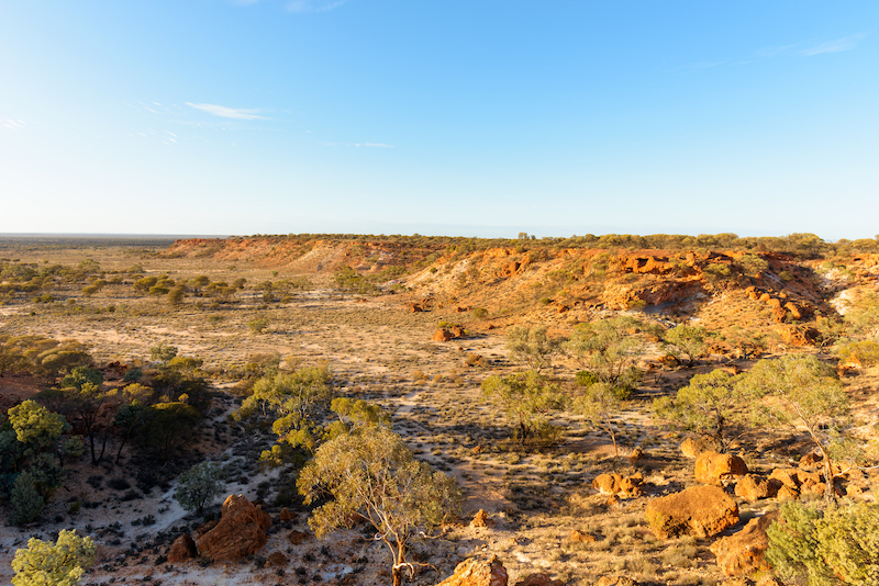 Healthy Country Planning and its Application for Landcare