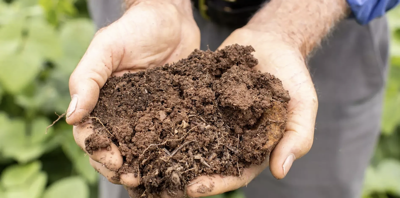 Soil Management Practices 