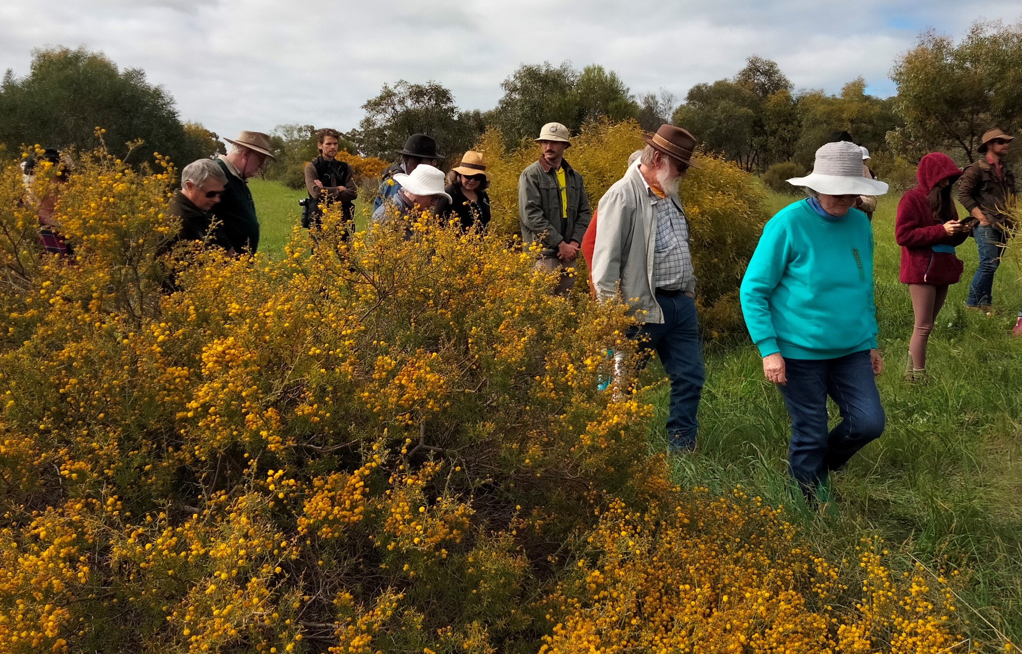 Who cares for the Landcarers 