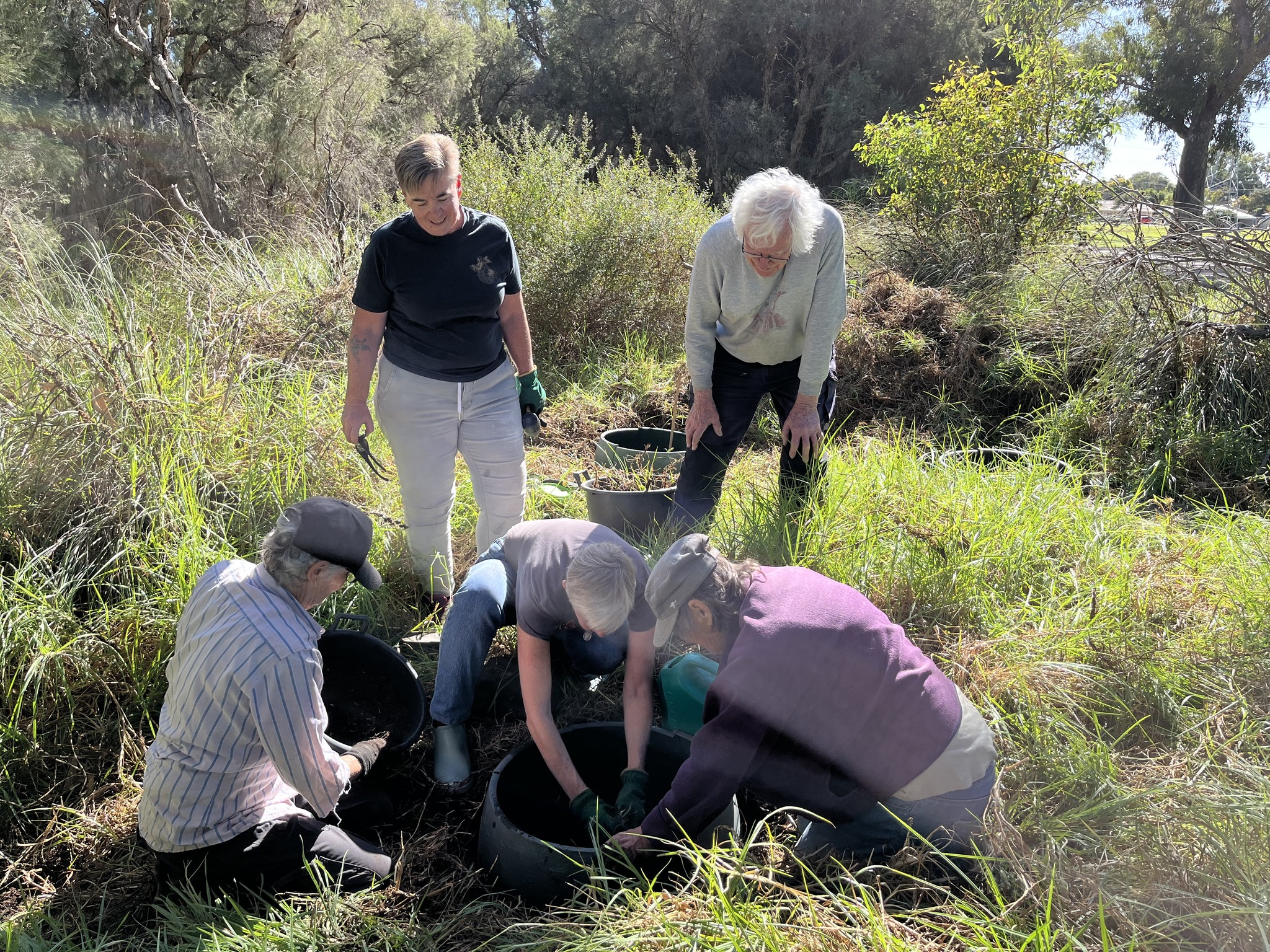 WA Landcare Network News - June 2025