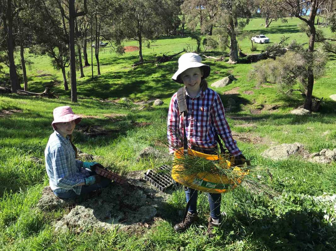 WA Landcare Network - News - February 2026