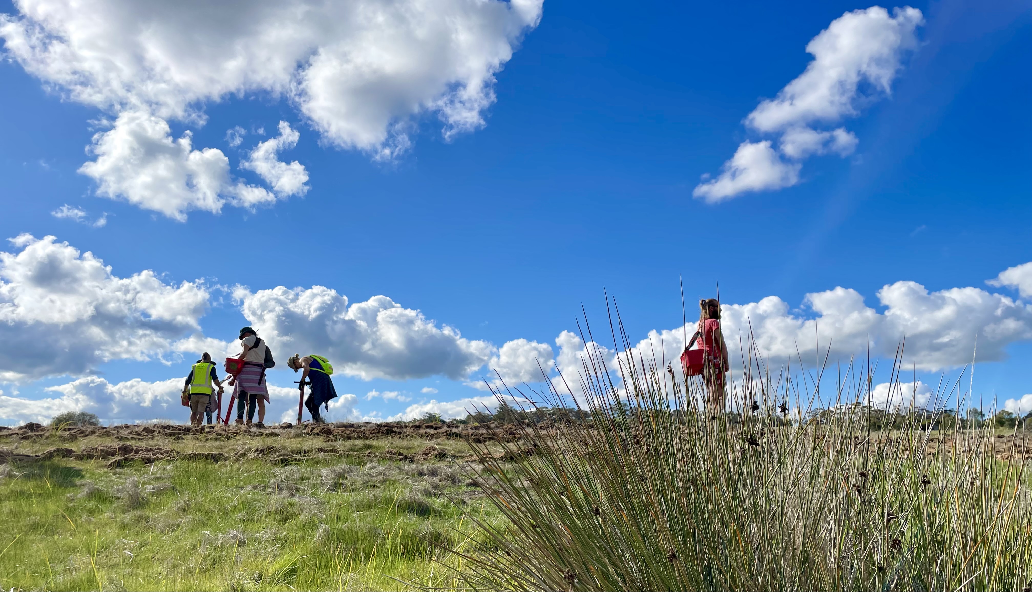 WA Landcare Network News - March 2026