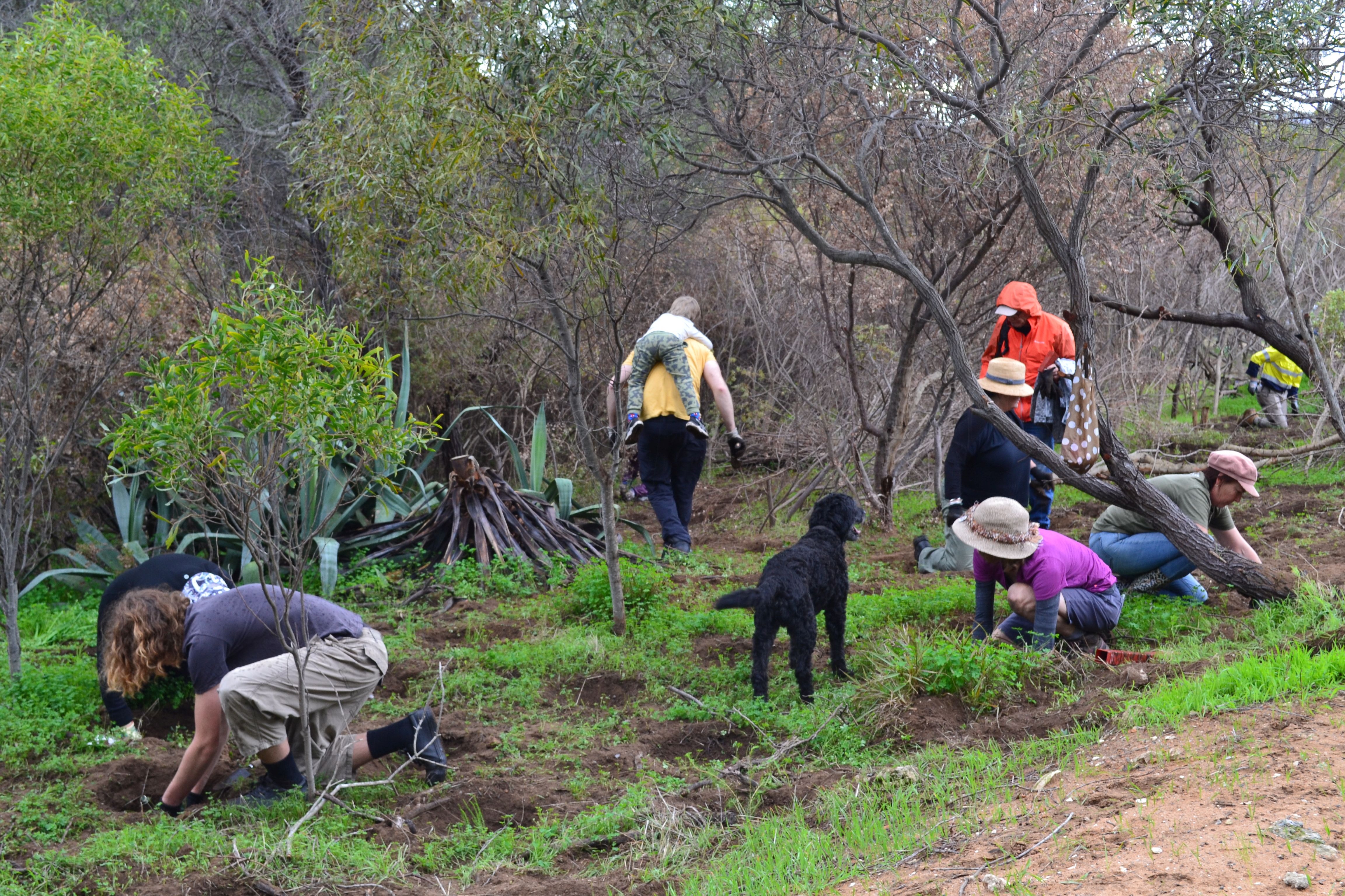 LBS #1: Monitoring Tools and Evaluating Success for Community Landcare