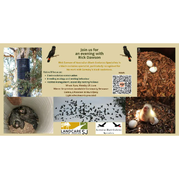 Evening with Rick Dawson; Black Cockatoo Conservation Specialist - banner image