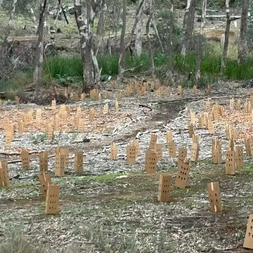 Gooralong Brook - Jarrahdale Heritage Park Community Planting Days - banner image
