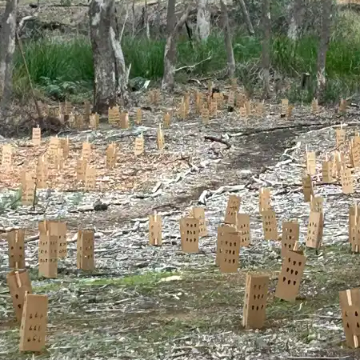 Gooralong Brook - Jarrahdale Heritage Park Community Planting Days - banner image