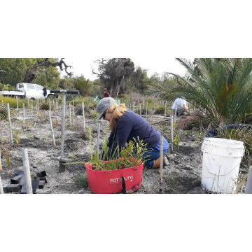 King Road Pony Club Community Planting Day - banner image