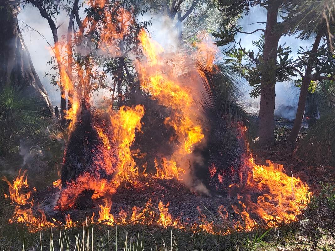 Fire in our landscape