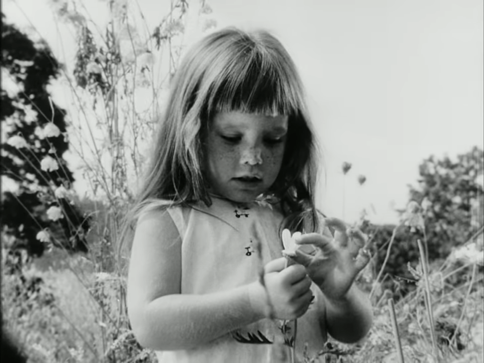 Kamala and Nuclear War