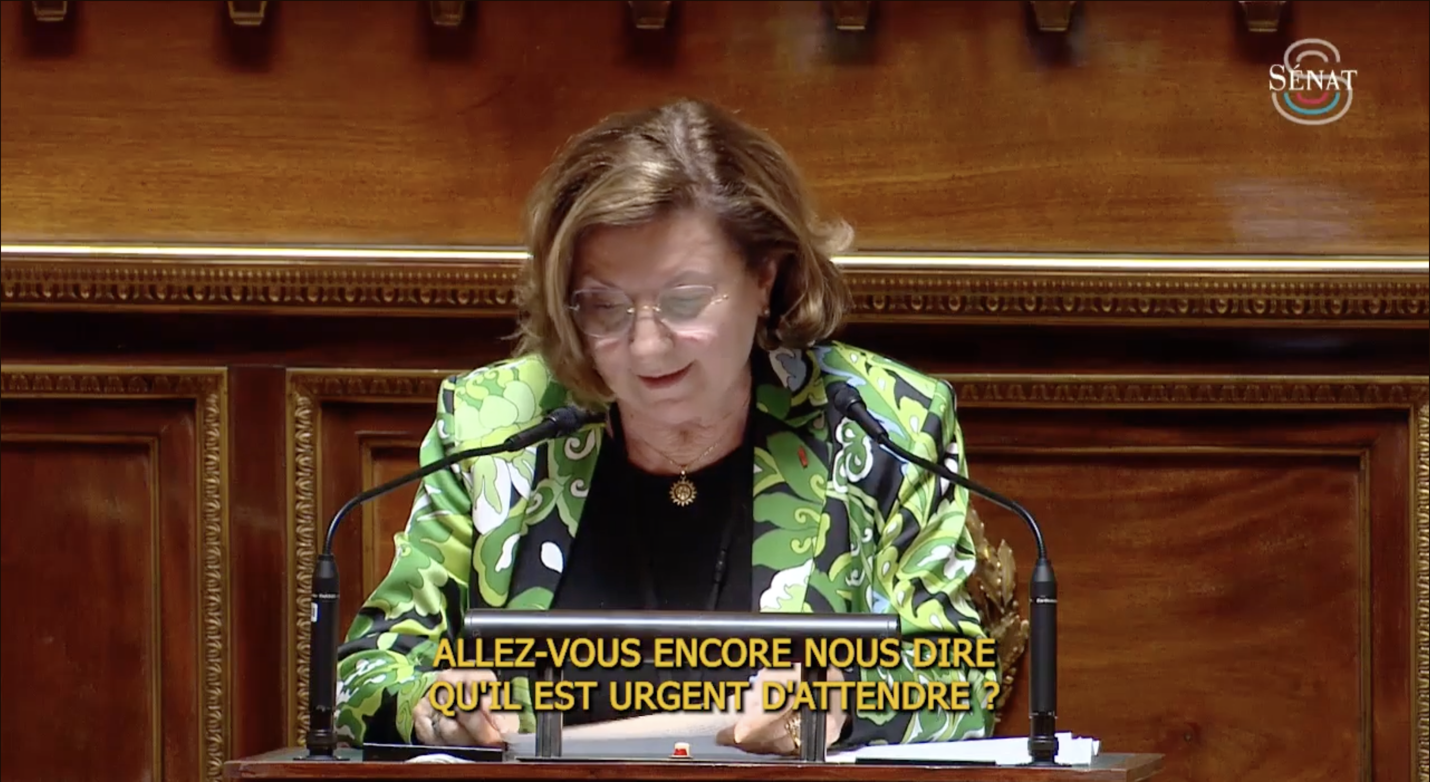Intervention de Gisèle Jourda au Sénat