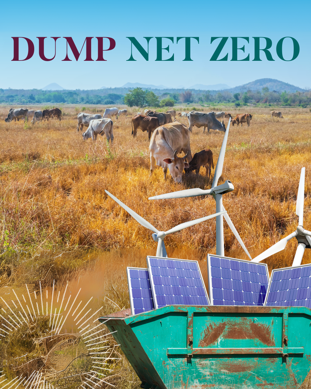 Dump Net Zero