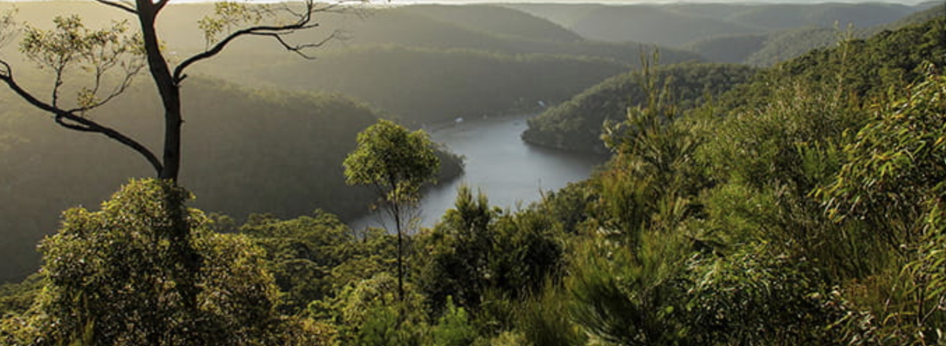 NationalPark