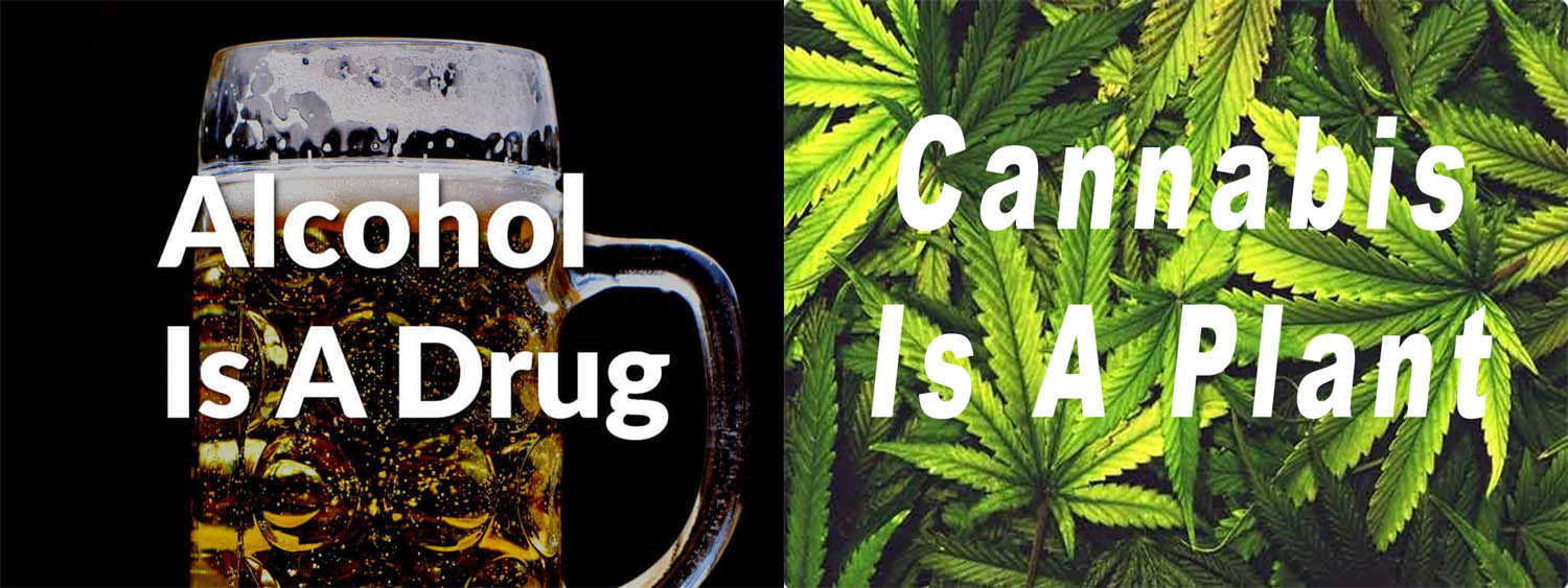 Cannabis_v_Alcohol.jpg