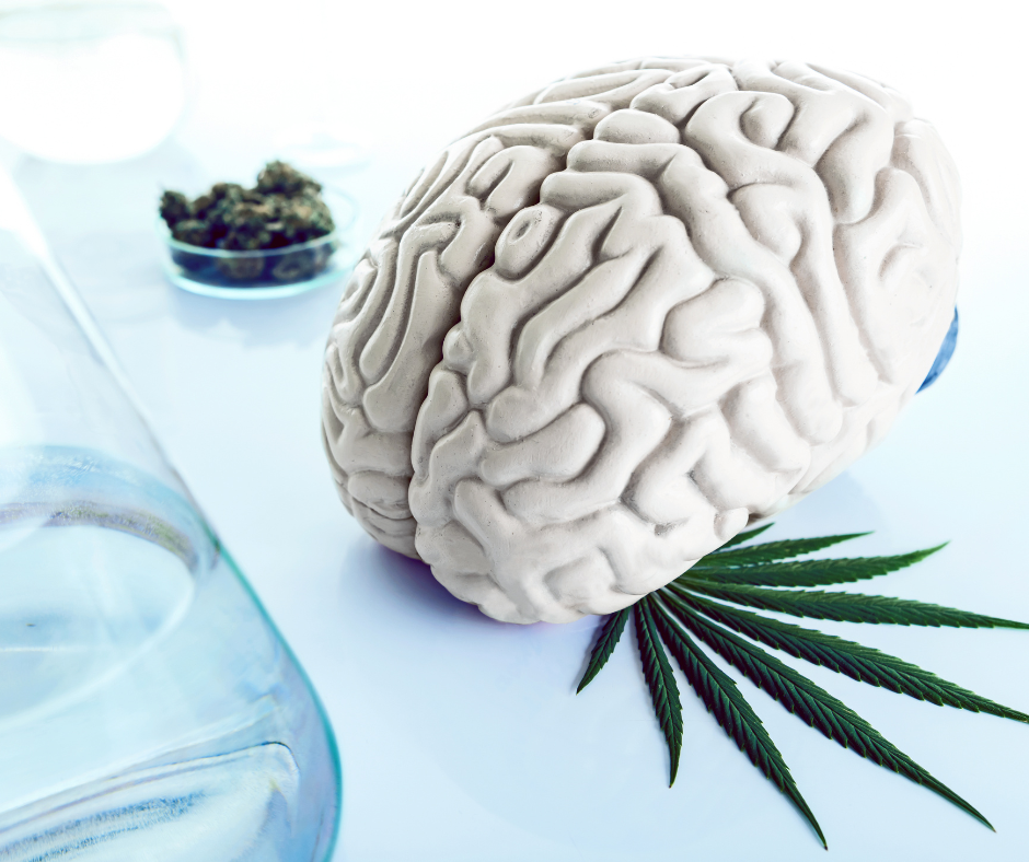 CannabisBrain.png