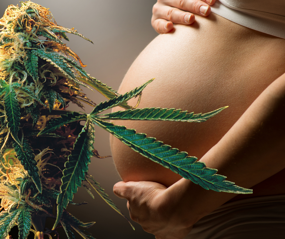 PregnantCanna.png