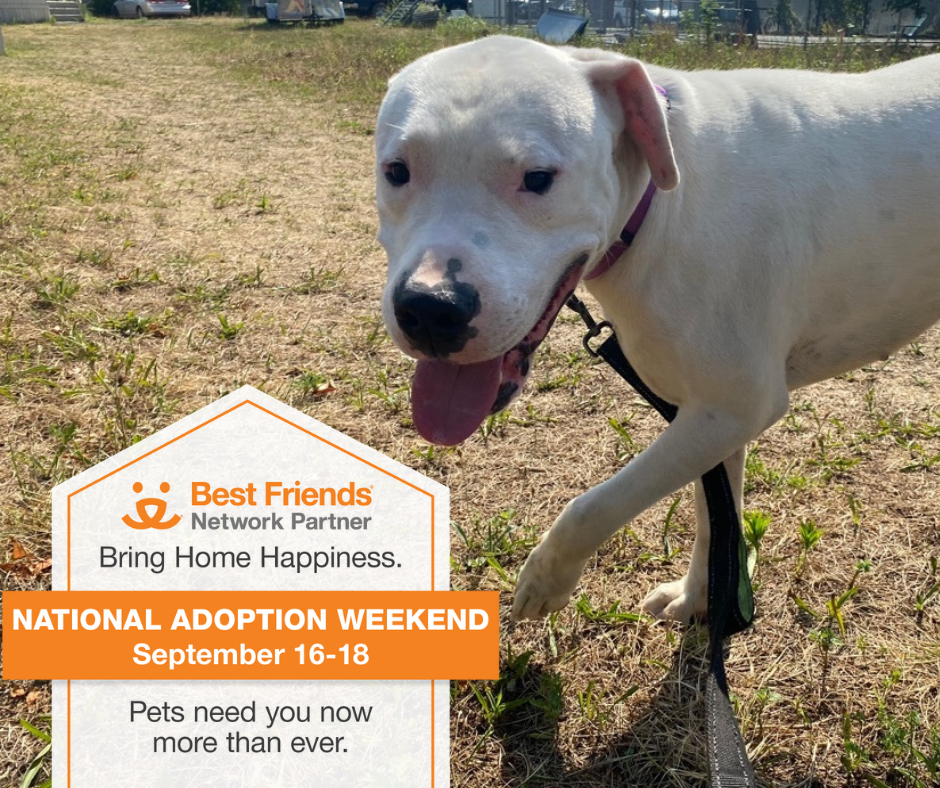 FeeFree Adoption Weekend Sponsored by Best Friends September 1618
