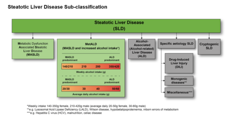 steatotic_liver_overview.png
