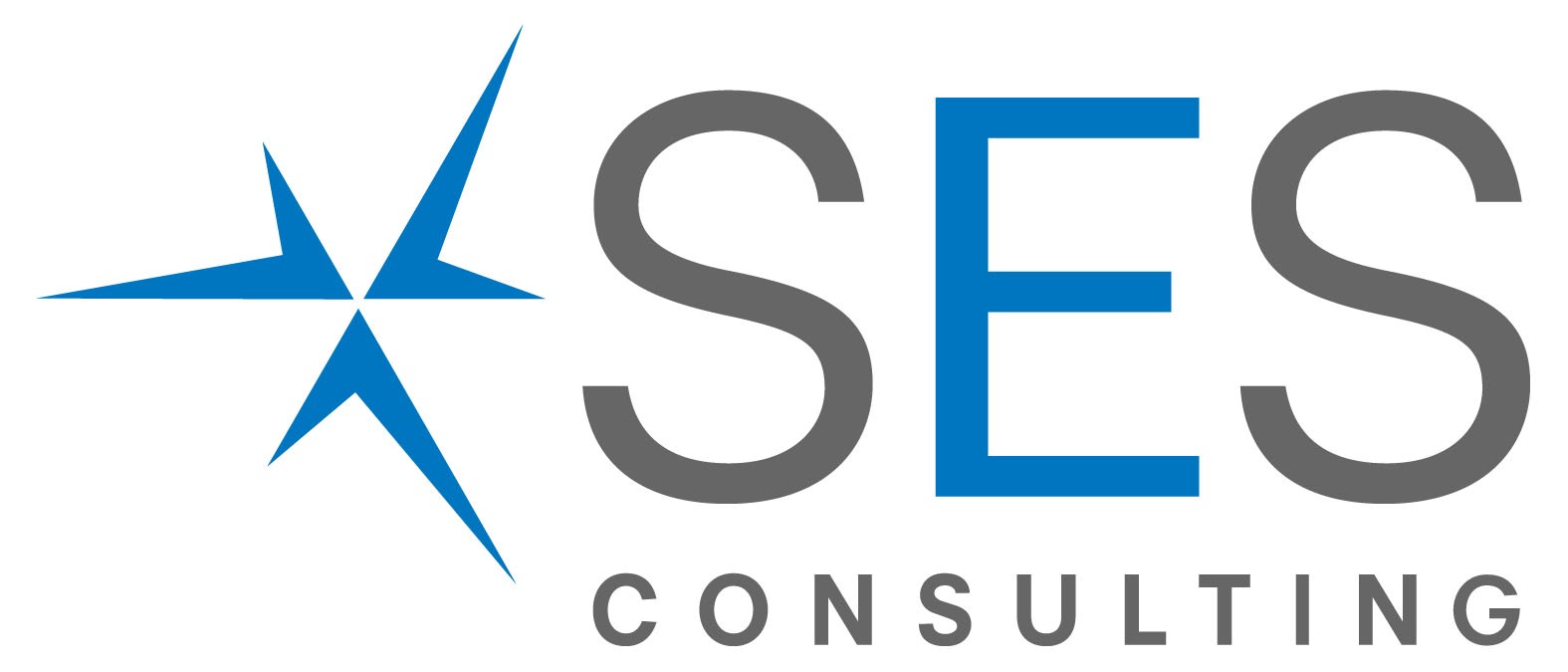 SES Consulting