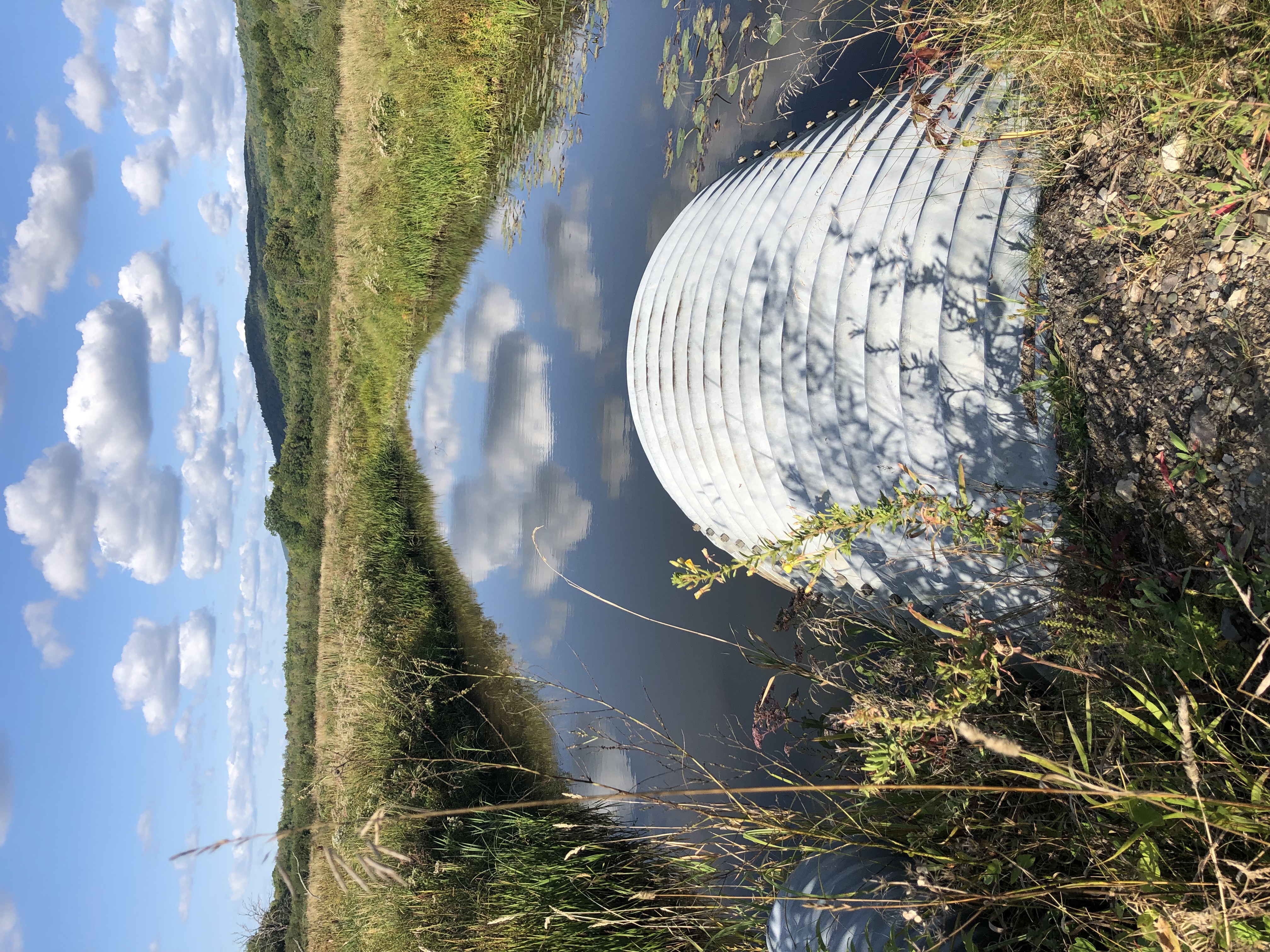 The view from Marr's Hollow Road, looking over a drainage pipe that leads into a wet boggy landscape with rolling hills in the far background.