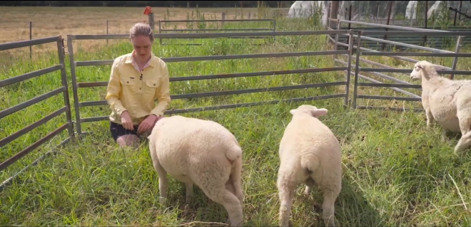Hunter at the Crossroads | We've just launched a short doco about the future of the Hunter Valley