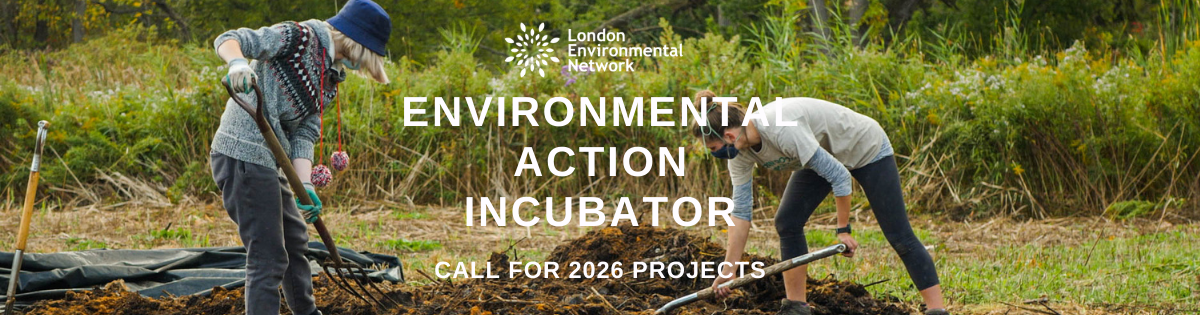 People working in a garden