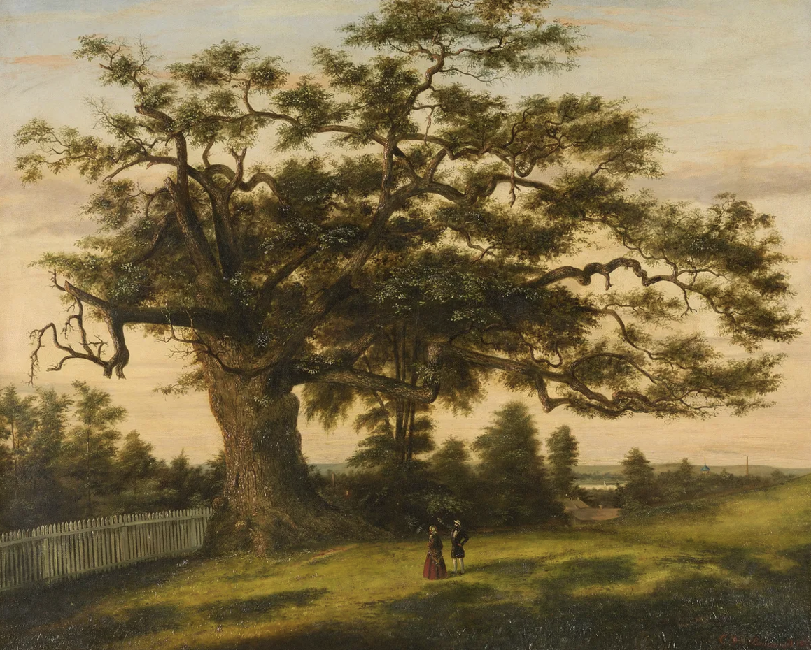 The Charter Oak in Hartford, a Connecticut symbol associated with self-government and liberty