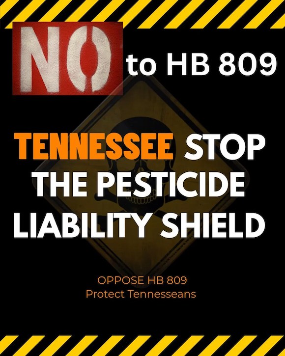 NO to HB809