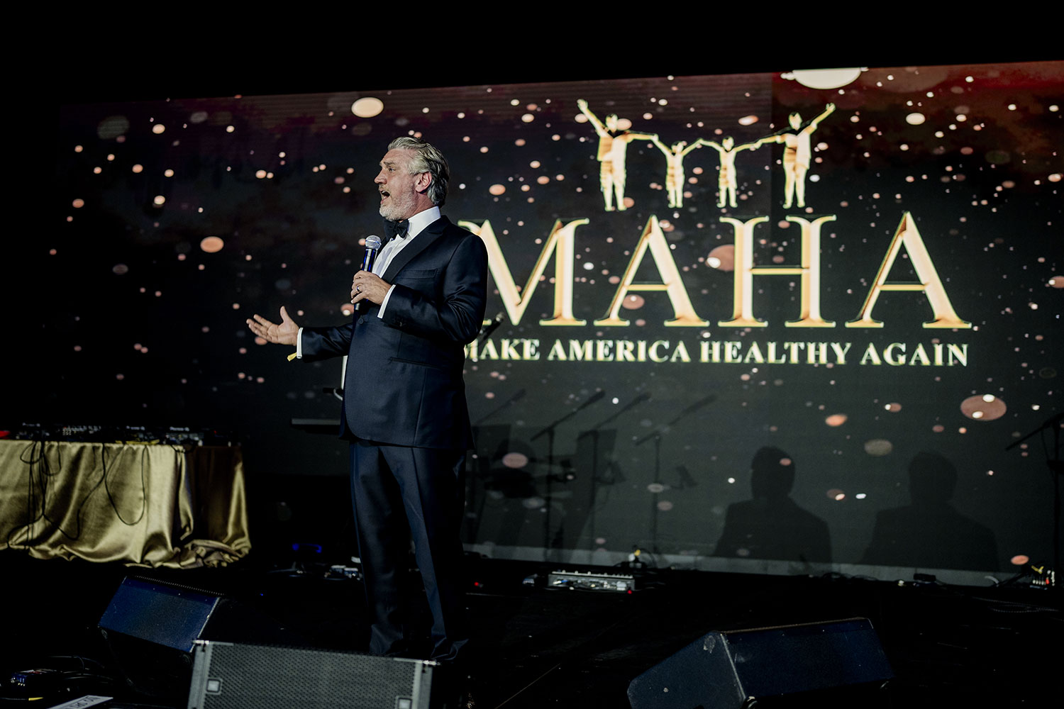 GALLERY###MAHA Ball