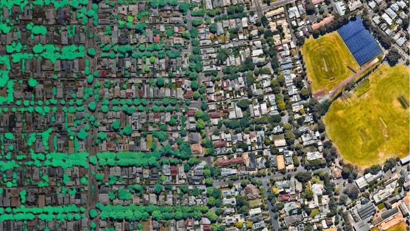 Aerial photograph of a city, with colours overlaid showing it getting less green and more brown and dry from left to right, to represent the loss of tree canopy cover over the city.