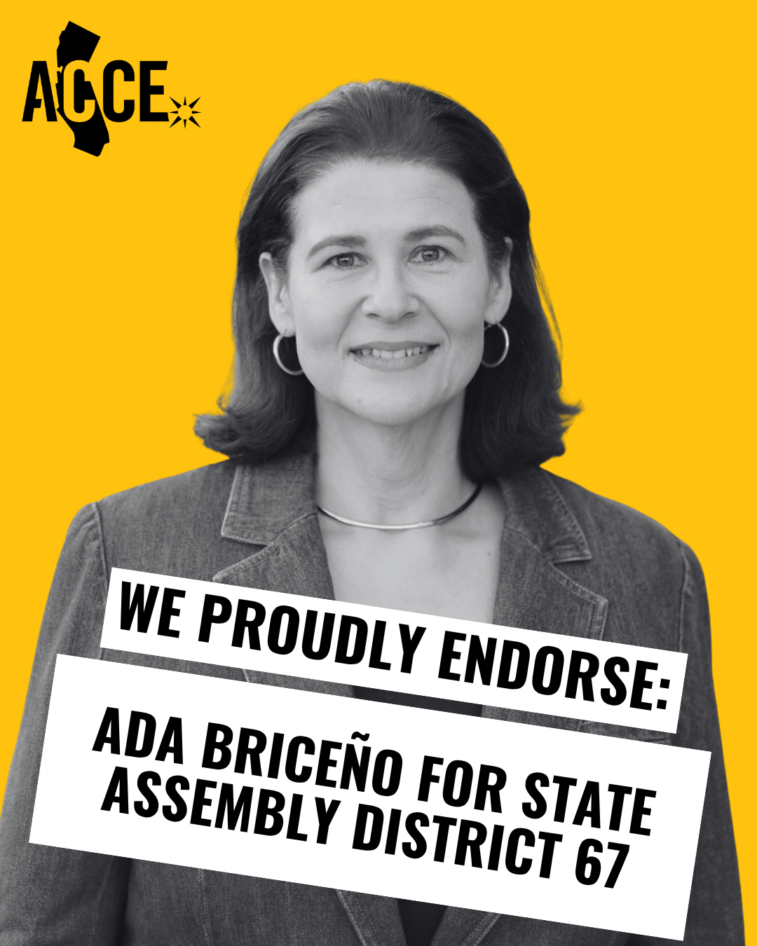 Ada Briceño