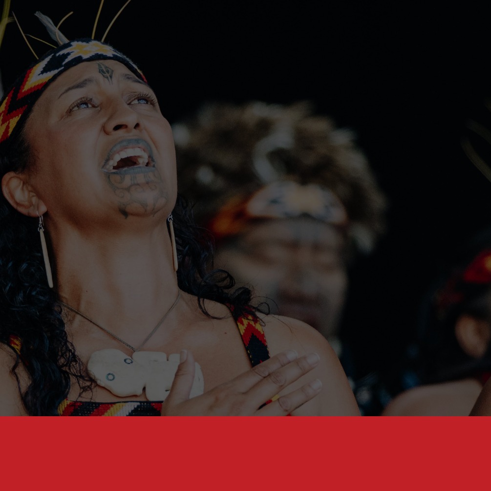 Te Reo Māori preview image