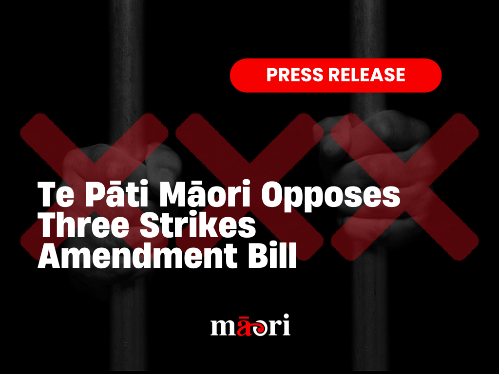 Te Pāti Māori Opposes Three Strikes Amendment Bill preview image